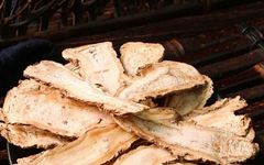 Understanding Chinese Herbal Medicine: Angelica Sinensis