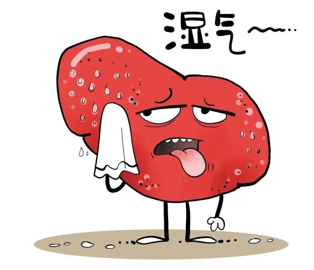 Why Do 'Thin People Have More Deficiency Heat, While Fat People Have More Phlegm-Dampness'?