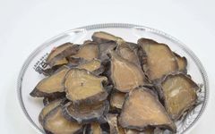 The Efficacy and Applications of Fuzi (Aconite) in Traditional Chinese Medicine