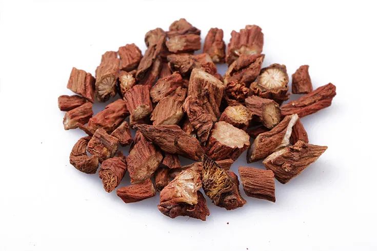 Understanding Danshen (Salvia miltiorrhiza) in Traditional Chinese Medicine