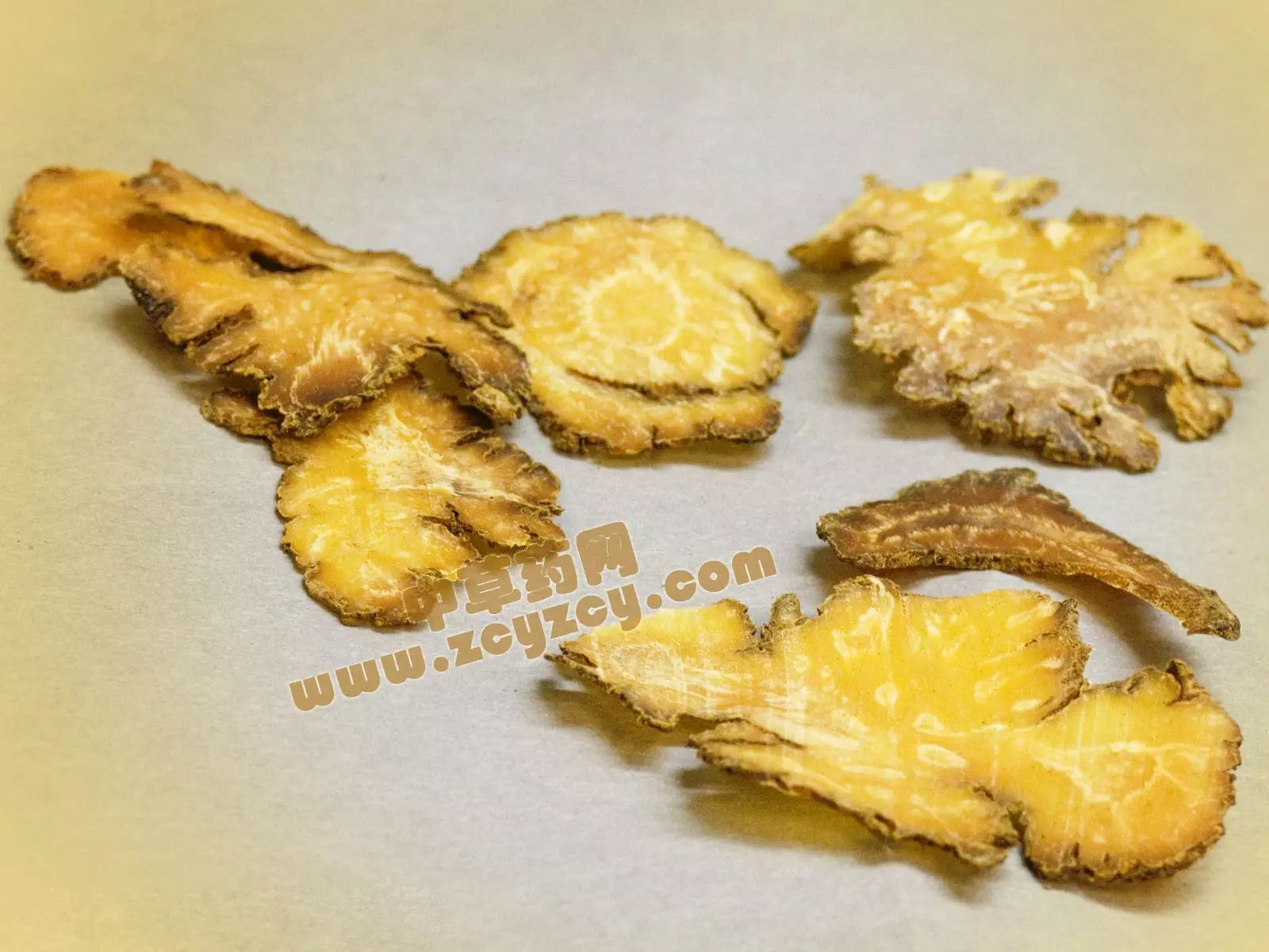 Understanding the Medicinal Properties of Chuanxiong (Ligusticum chuanxiong)