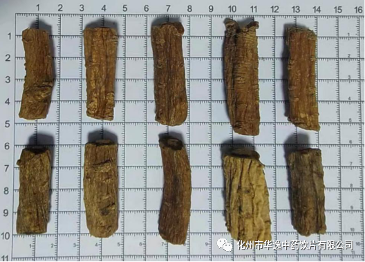Common Chinese Medicinal Herbs: Codonopsis (Dang Shen)