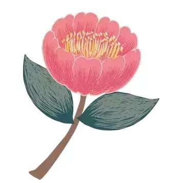 Traditional Chinese Medicine Dietary Therapy