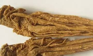 The Eight Major Functions of Angelica Sinensis and Three Recipes You Need to Know