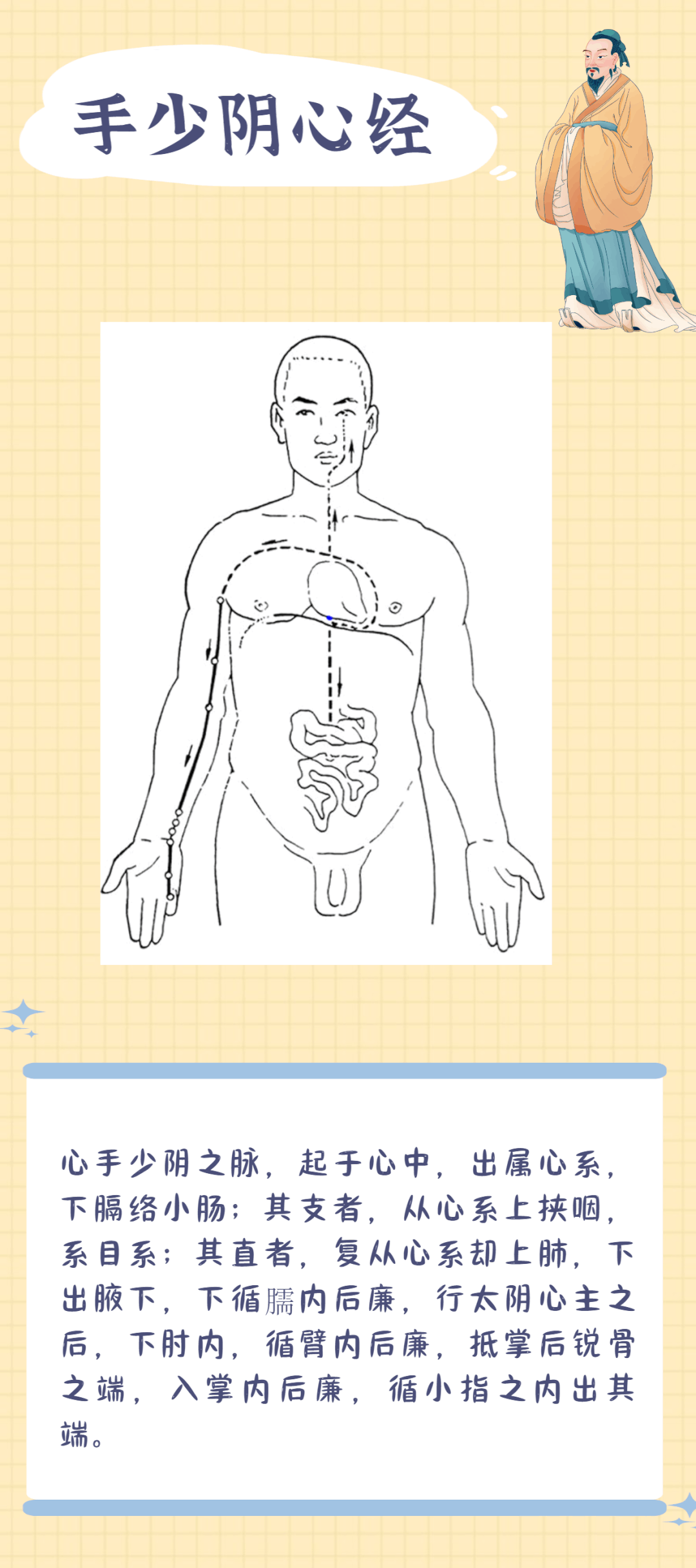 Illustration of the Twelve Meridians: A Worthy Focus