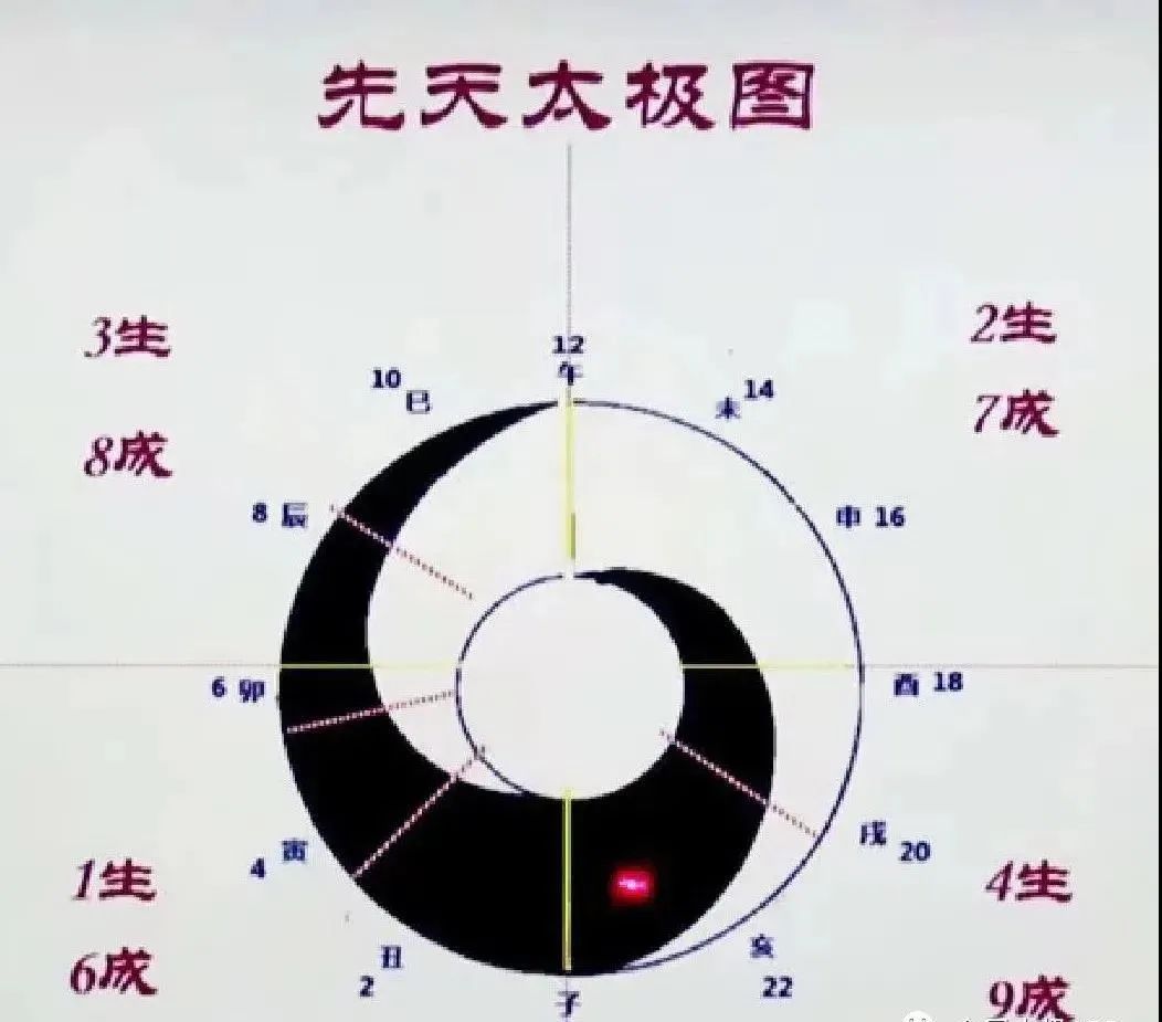 Removing the Veil of 'Tai Chi Fitness': Understanding the Truth Behind the Imminent Loss of Tai Chi