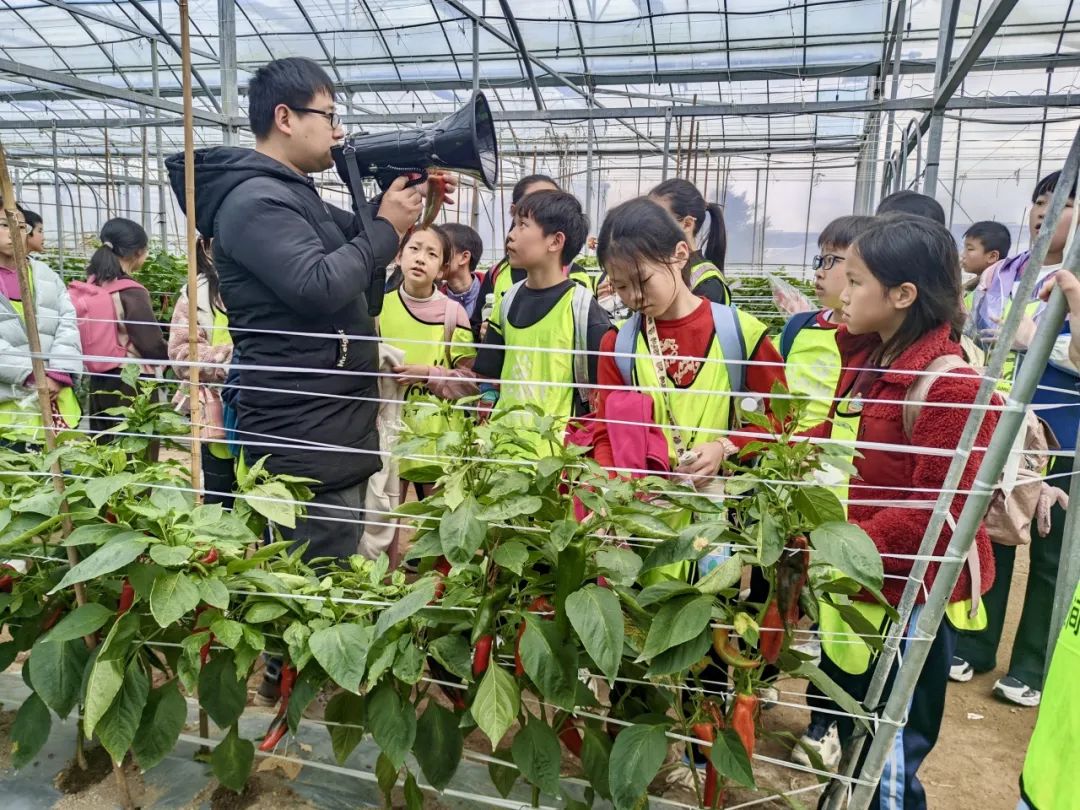 Exploring Medicinal Herbs and Agricultural Experiences: Class 2 of 2020 at Park Primary School Enjoys Springtime in the Fields