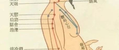 The Floating and Collateral Vessels in Traditional Chinese Medicine