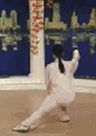 Comprehensive Guide to Tai Chi Movements: Exercise at Home!