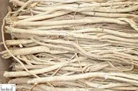 The Efficacy and Functions of Astragalus (Huang Qi)