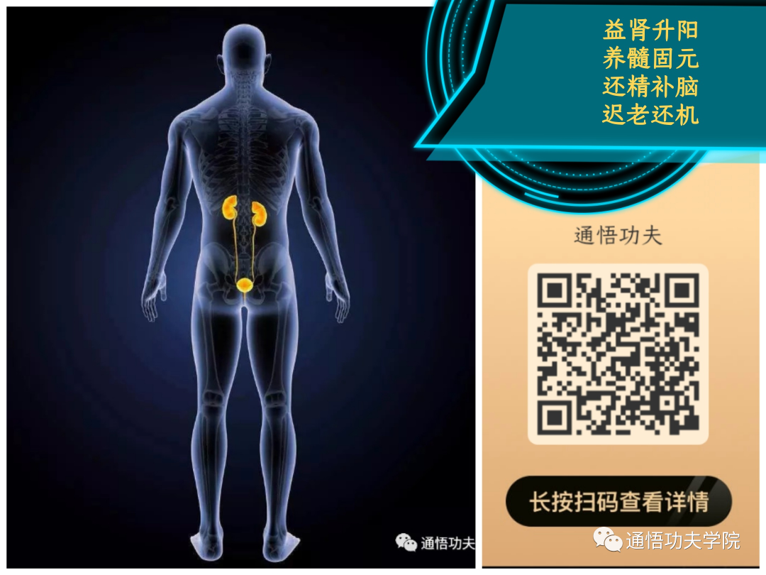 The Most Important Aspect of Health Preservation: Yin-Yang Balance