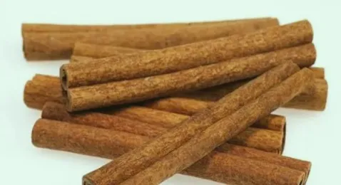 Daily Learning of Chinese Herbs - Cinnamon
