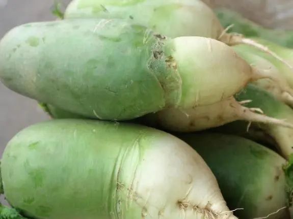 Astragalus: A Treasure for Health, Addressing 6 Issues Gradually