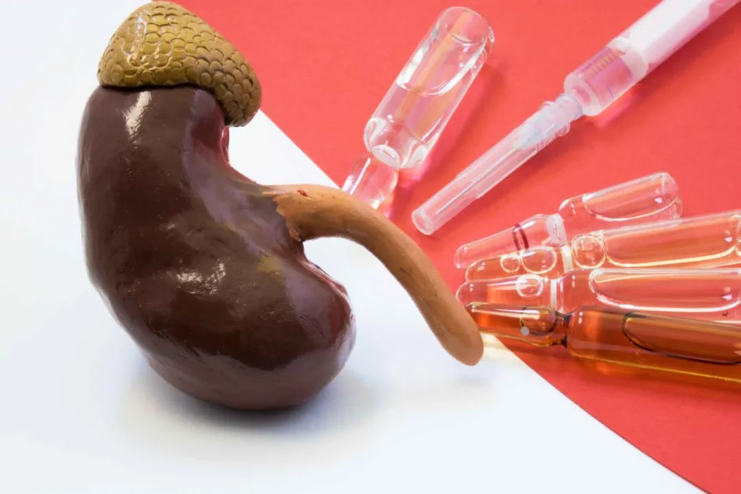 Nourishing Kidney Yin and Supplementing Kidney Yang: Understanding Kidney Yin Deficiency and Kidney Yang Deficiency