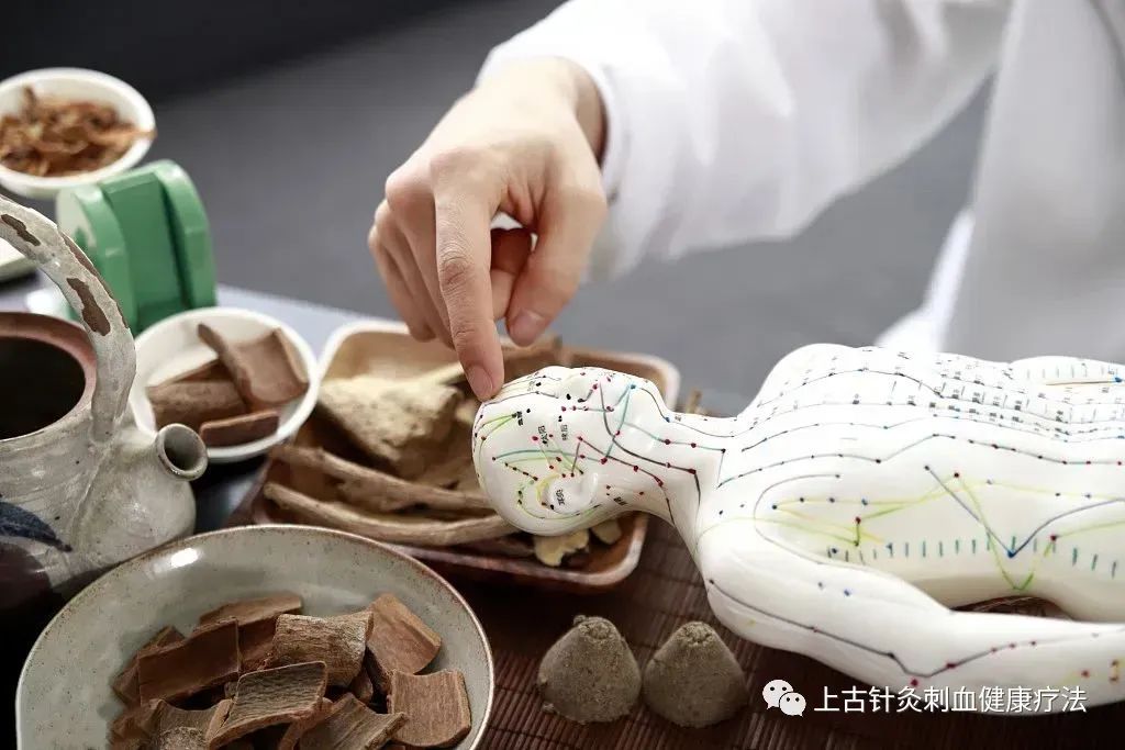 Bloodletting Therapy for 24 Difficult Diseases