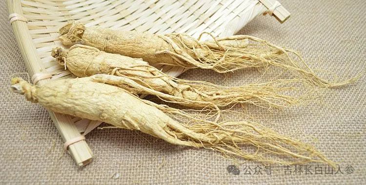 Unveiling Bai Ren Shen: The Mysterious King of Ginseng and Its Comprehensive Benefits