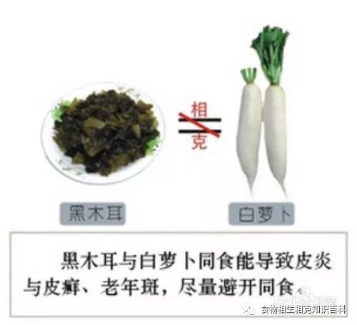 A Comprehensive Guide to Complementary and Contradictory Foods in TCM
