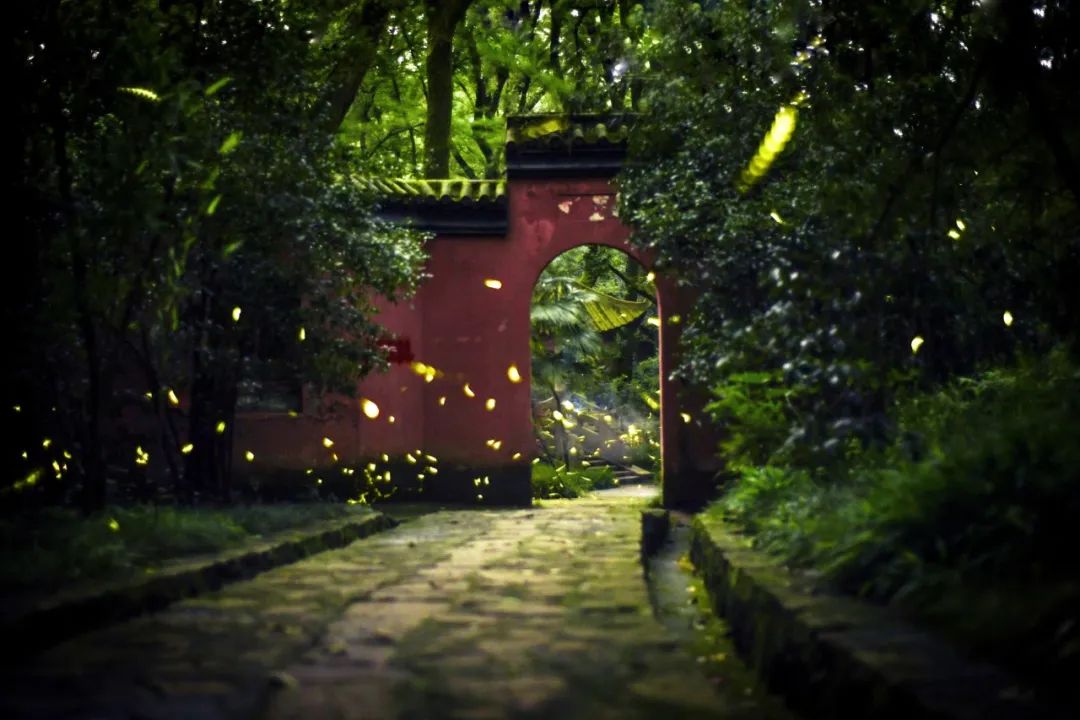 What are the Seven Emotions and Six Desires? The Most Poetic Answer