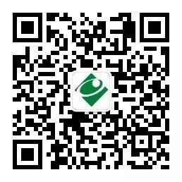 Understanding Danshen (Salvia miltiorrhiza) in Traditional Chinese Medicine