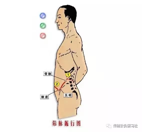 Diagram of the Eight Extraordinary Meridians in Traditional Chinese Medicine