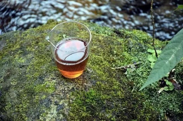 Comparing Wuyi Narcissus and Cinnamon: Which is Better?