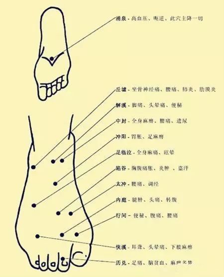 Comprehensive Human Acupuncture Points Chart and Their Functions (A Must-Bookmark)