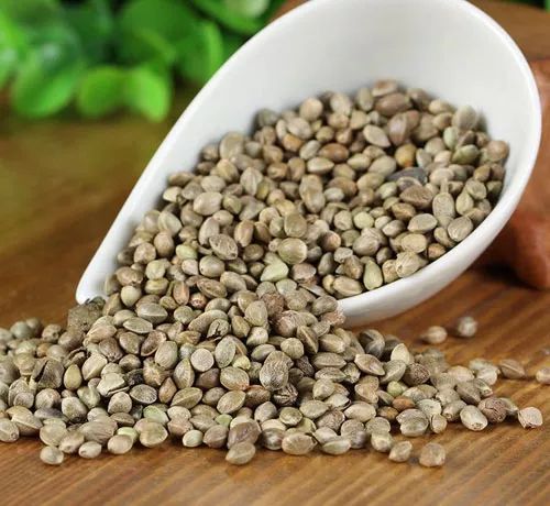 The Efficacy and Functions of Huoma Ren: Blood Deficiency and Fluid Deficiency, Dry Intestines and Constipation