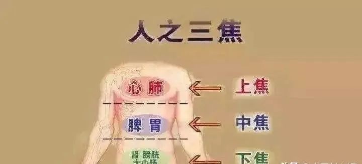 Six Traditional Chinese Medicines to Clear Damp-Heat from the Lower Jiao and Relieve Discomfort
