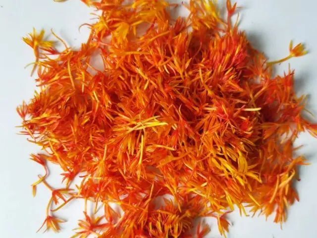 The Efficacy, Uses, and Contraindications of Safflower (Honghua)