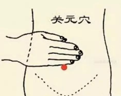 The Ten Most Important Acupuncture Points in the Human Body!