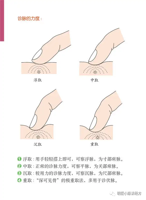 Lecture 130 - Understanding the Pulse of Xiao Chai Hu