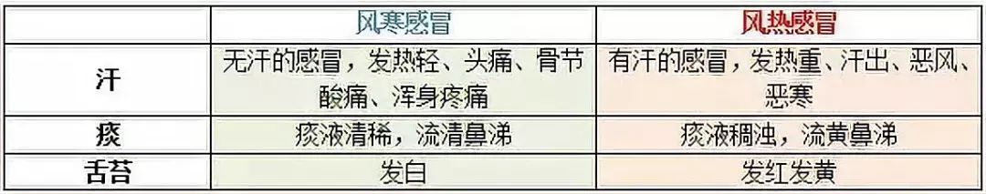 Differentiating Between Wind-Cold and Wind-Heat Colds