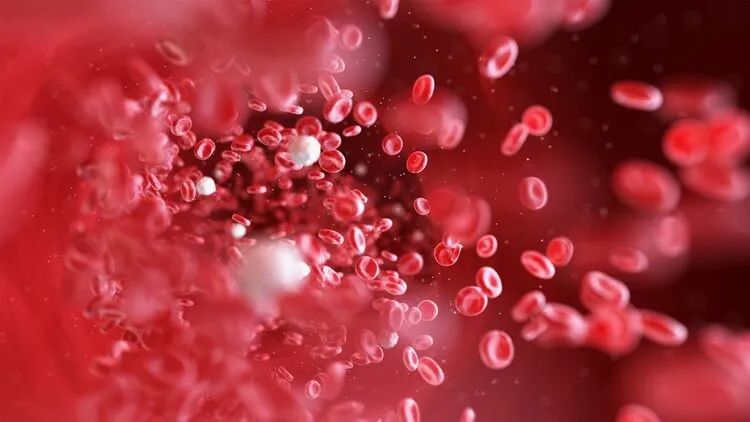 Blood Stasis: The Root of All Illnesses - Five Blood-Activating Formulas by Ren Wang Qing