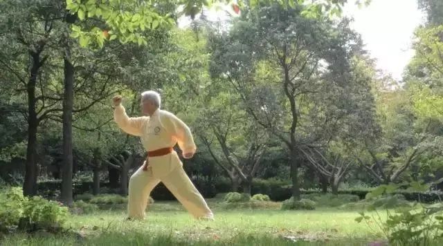 Simple and Easy to Learn! Illustrated Guide to the Twelve Movements of the Ancient Yi Jin Jing (Includes Video)