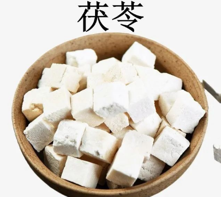 Daily Herb: Poria (Fú Línɡ)
