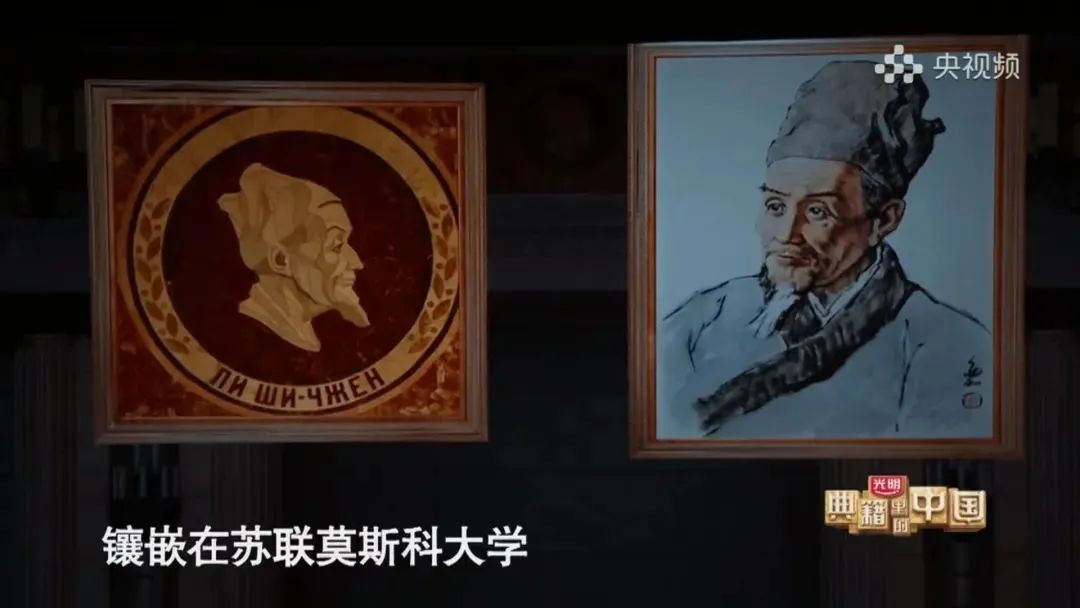 Exploring the Millennia of Wisdom in Traditional Chinese Medicine: A Study of the Compendium of Materia Medica