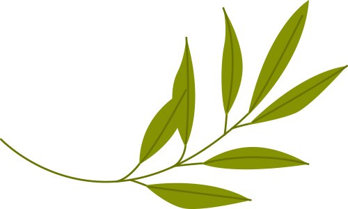 Understanding Body Constitution in Traditional Chinese Medicine