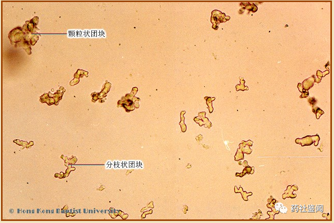 Poria (Fuling) - A Comprehensive Overview