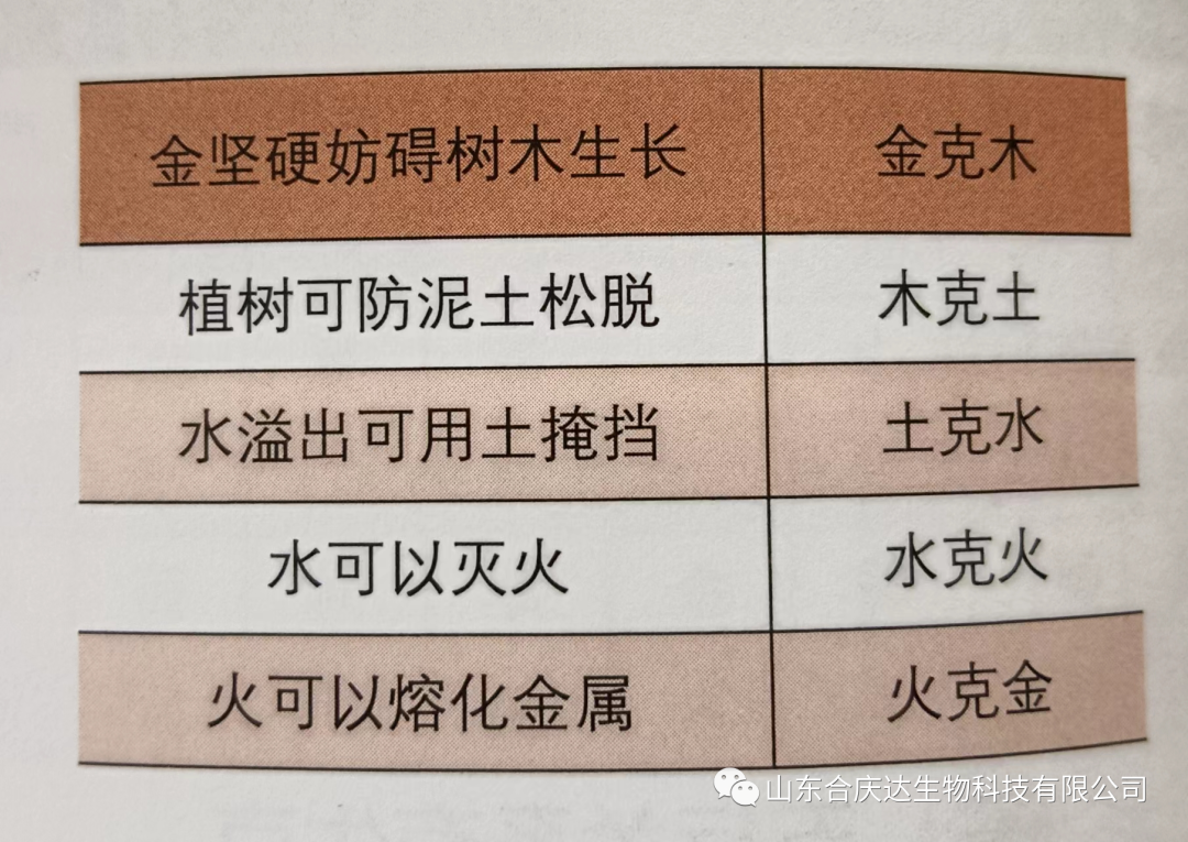 The Relationship Between the Five Elements and the Human Body: How to Regulate the Five Organs Through the Five Elements