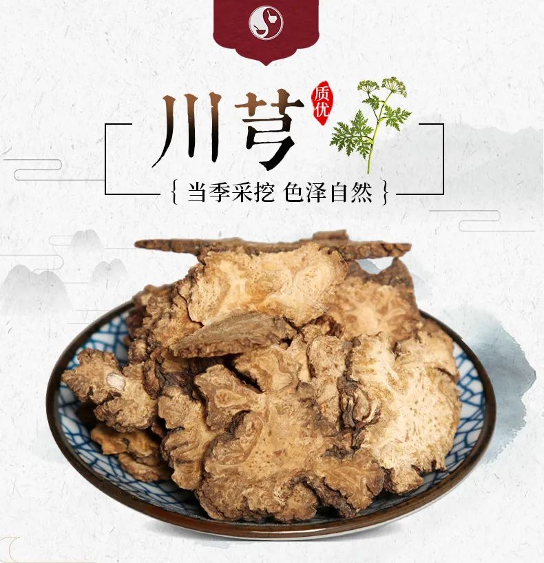 The Pharmacist Speaks: Chuanxiong - Invigorating Blood and Qi, Dispelling Wind and Alleviating Pain