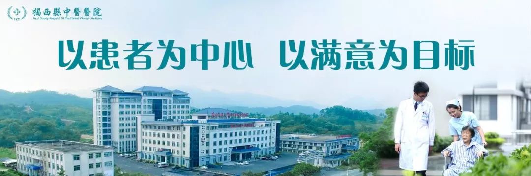 Understanding the Benefits and Applications of Hong Hua (Safflower) in Traditional Chinese Medicine