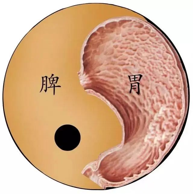 How to Regulate Spleen and Stomach Deficiency