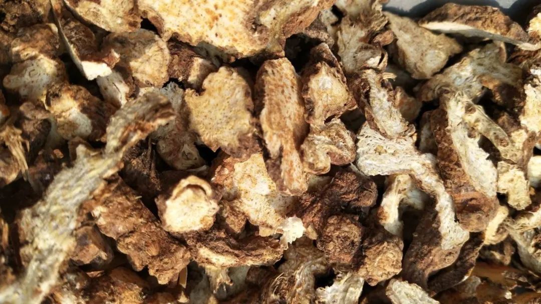 Cold Weather Triggers Stomach Issues: A Formula to Warm the Spleen and Stomach
