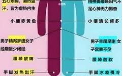 Understanding Yin Deficiency in Traditional Chinese Medicine