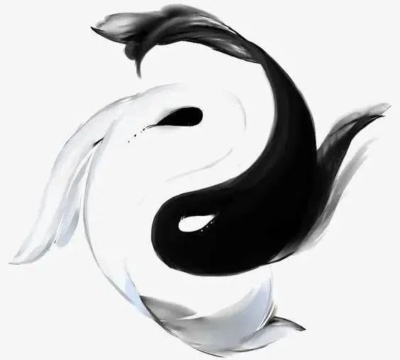 Understanding the Concept of Yin and Yang in Tai Chi: Practicing True Skills