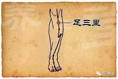 Common Deficiency Syndromes of the Five Organs (Yin, Yang, Qi, Blood) and Their Treatment Methods