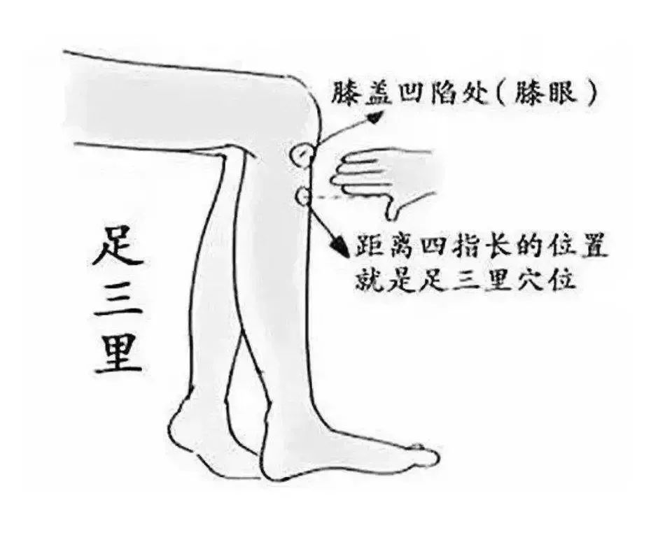 Understanding the Principles of Anemia in Traditional Chinese Medicine and the Comprehensive Process of Blood Nourishment