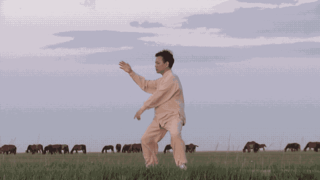 Discussing Bones and Muscles | The Harmony of Yin and Yang in the Human Body is the Foundation of Health