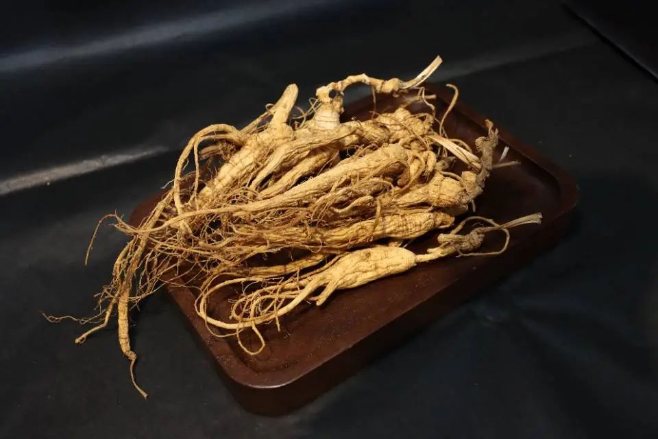 The Rich History of Ginseng: More Than Just a Herb