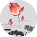 Understanding Yin Deficiency and Yang Deficiency—Formulas for Yin and Yang Deficiency (Basics)